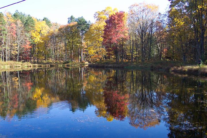 fall 043.jpg